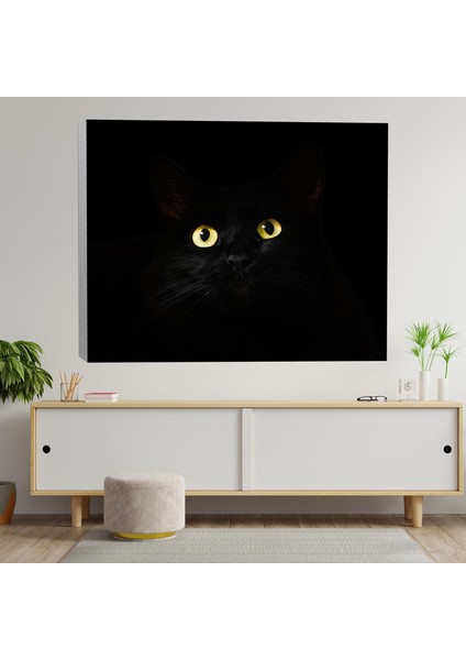 Yakın Çekim Siyah Kedi Dekoratif Kanvas Tablo