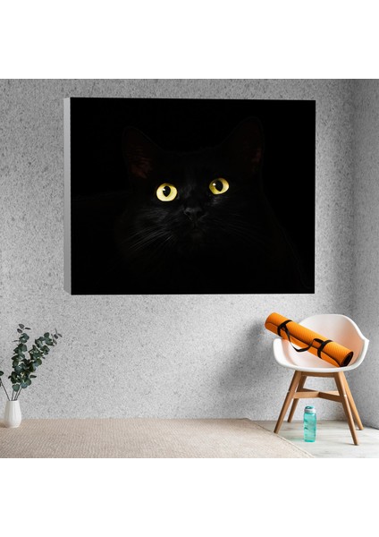 Yakın Çekim Siyah Kedi Dekoratif Kanvas Tablo fiyatları