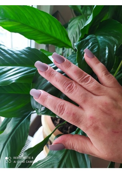 Takma Tırnak (Taş Rengi) fiyatları