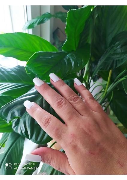 Takma Tırnak(Beyaz) fiyatları