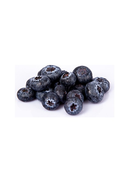 Blueberry Yaban Mersini