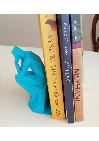 Düşünen Adam Kitap Tutucu Kitap Desteği fiyatları