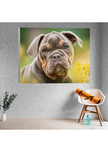 Yavru Buldog Köpek Dekoratif Kanvas Tablo