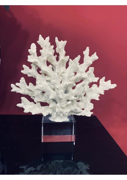 Kristalli Mercan Beyaz