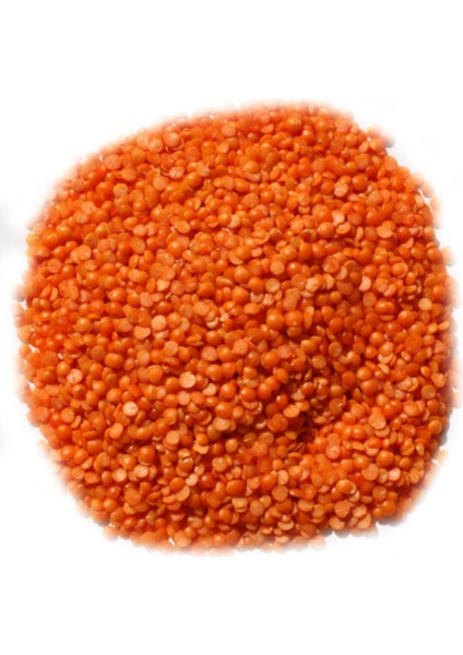 Yerli Türk Malı Kırmızı Yaprak Mercimek Cilalı 2,5 kg