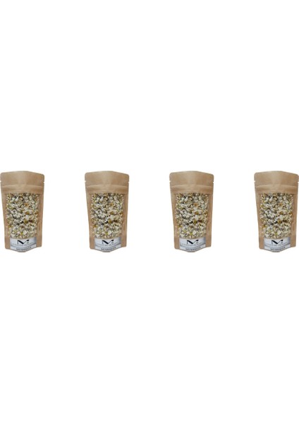 Mayıs Papatyası 4X25