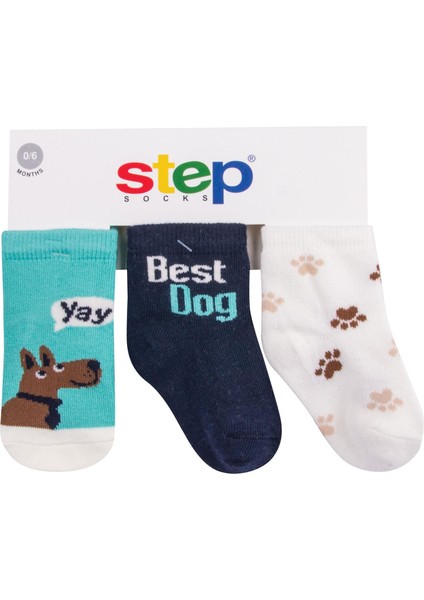 3lü Best Dog Soket Çorap 10153 Karışık Renkli