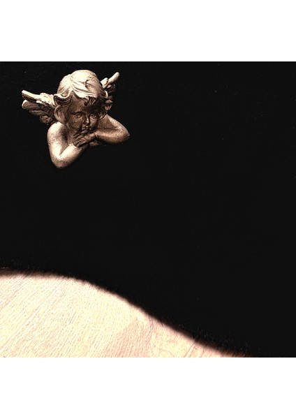 Rex Tavşanı Kısa Tüylü Post Peluş Siyah modelleri