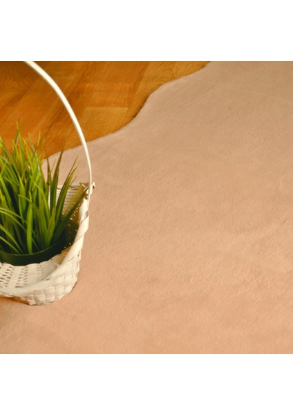 Rex Tavşanı Kısa Tüylü Post Peluş Pudra modelleri