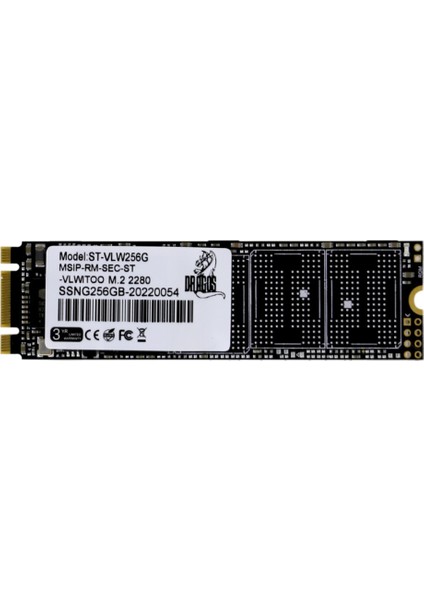 256GB 500MB-450MB/s nVME M.2 2280 SSD