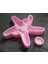 24cm Deniz Yıldızı Askı Silikon Kalıp K-736 2