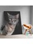 Yakın Çekim Kedi Temalı Dekoratif Kanvas Tablo 1