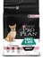 Adult Small Mini Sensitive Somonlu Yetişkin Köpek 3 kg 3