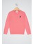 U.S. Polo Assn. Pembe Basic Triko Kazak 50207020-VR078 1