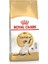 Royal Canine Siamese 38 Kuru Kedi Maması 2 kg 1
