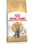 Fbn British Shorthair Yetişkin Kedi Maması 4 kg 1