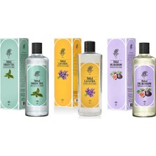 Rebul Green Tea Kolonya 270 ml + Rebul Lavanda Kolonya 270 ml + Rebul Fig Blossom Kolonya 270 ml  3'lü Set