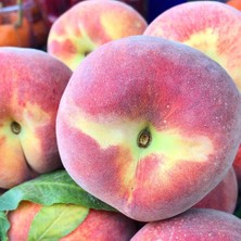 Tüplü Erkenci Bol Verimli Yarı Bodur Francoise (Fransua) Şeftali Fidanı