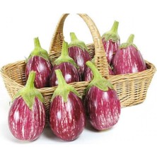 Bilgarden Adana Topak  Patlıcan Fidesi (5 Adet)