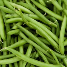 Tohum Bul Doğal Oturak Börülce Fidesi (5 Adet)