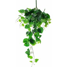 Gardenonya Dekoratif Yapay Patos Sarmaşık