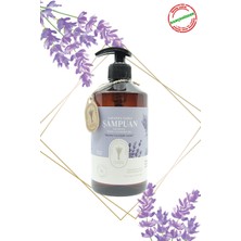Dr. Lavender Lavanta Yağlı Şampuan Kepek ve Dökülme Karşıtı 500 ml + Bitkisel Lavanta Bebek Şampuanı 500 ml