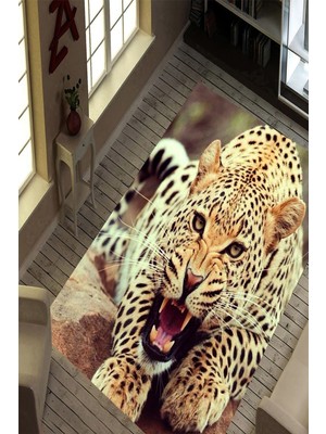 İnka Halı Antibakteriyel Yıkanabilir Kaymaz Dot Taban Dijital Baskı Salon Halısı MRC1732