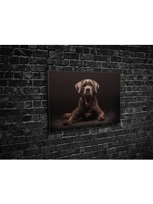 Tablo 360 Cane Corso Kanvas Tablo