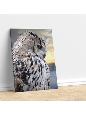 Deko Gonya Baykuş Temalı Kanvas Tablo