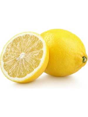 Tohum Bul Tüplü Tatlı Limon Şeker Limon Fidanı