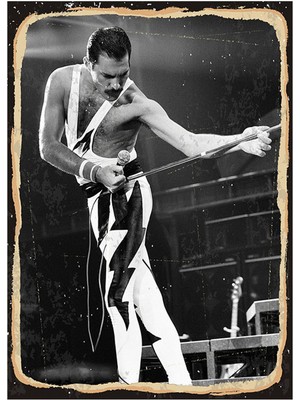 Tablomega Freddie Mercury Modern Ahşap Tablo