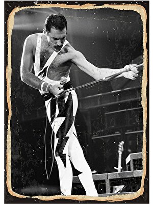 Tablomega Freddie Mercury Modern Ahşap Tablo