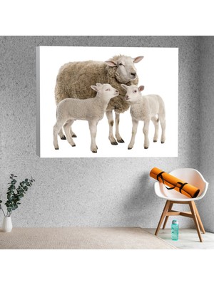 Deko Gonya Koyun Kuzu Temalı Kanvas Tablo