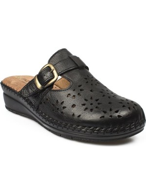 Forelli 80625