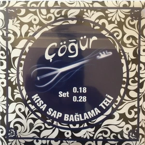 Kısa Bağlama Teli Takımı (0,18)