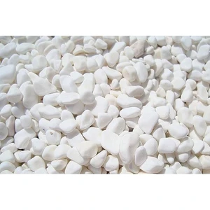 Loopy Collection Dolomit Taşı 1 kg