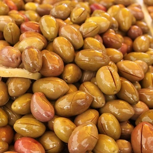 Tohum Bul Tüplü Salamuralık  Iri Meyveli Domat Zeytin Fidanı
