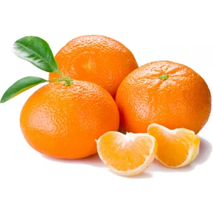 Tohum Bul Tüplü Kokulu Çekirdeksiz Aromatik Okitsu Mandalina Fidanı