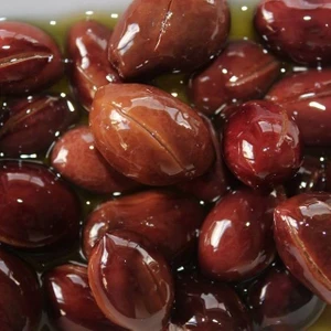 Tohum Bul Tüplü Özel Iri Meyveli Kalamata Zeytin Fidanı