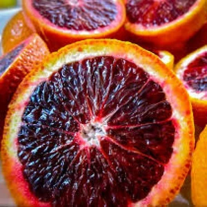 Tohum Bul Bodur Tipte Yemesi Mükemmel Içi Dışı Kırmızı Blood Orange Red Kan Portakalı Fidanı