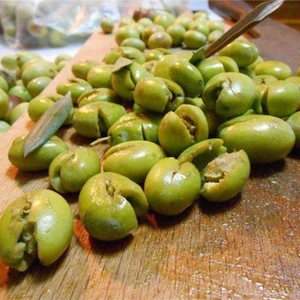 Tohum Bul Tüplü Bodur Erkenci Arbequına Ispanyol Zeytin Fidanı