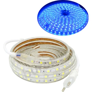 5 Metre 220 Volt Esnek Hortum Şerit LED Işık Aydınlatma Tak Çalıştır Mavi Işık