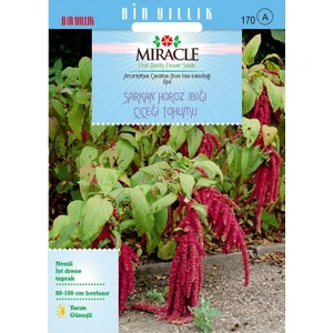 Tohum Bul Miracle Sarkan Kırmızı Amaranthus(Horoz Ibiği) Çiçeği Tohumu( 1500TOHUM)