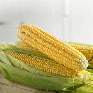 Tohum Bul Tatlı Süt Mısır Tohumu (25 Gram)