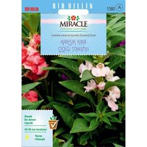 Tohum Bul Miracle Balsamina Karışık Renkli Kına Çiçeği Tohumu (150 Tohum)