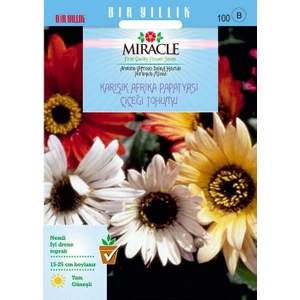 Tohum Bul Miracle Karışık Renkli Afrika Papatyası Çiçeği Tohumu (30 Tohum)