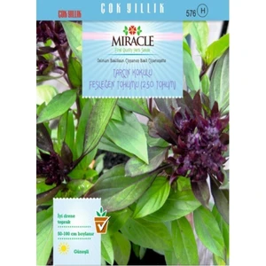 Tohum Bul Miracle Tarçın Kokulu Fesleğen Tohumu (250 Tohum)