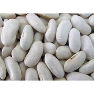 Tohum Bul Doğal Sırık Kılçıksız Erzincan Fasulye Tohumu (20 Tohum)