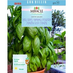 Tohum Bul Miracle Tatlı Geniş Yapraklı Fesleğen Tohumu (250 Tohum)