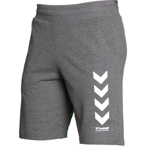 Hmlkens Shorts Antrasit Erkek Şort 931152-2833